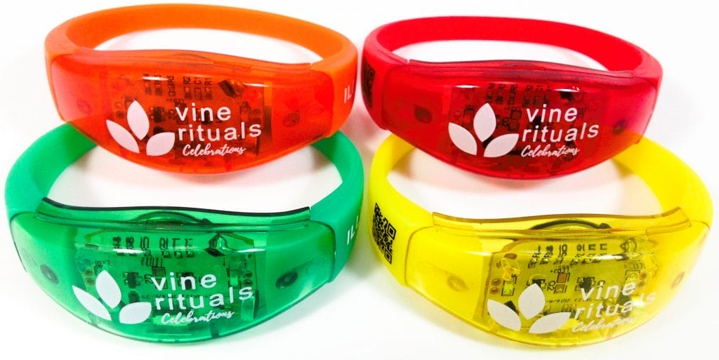 Vine Rituals Illumio+ Image shows the included contents in a laid out position.