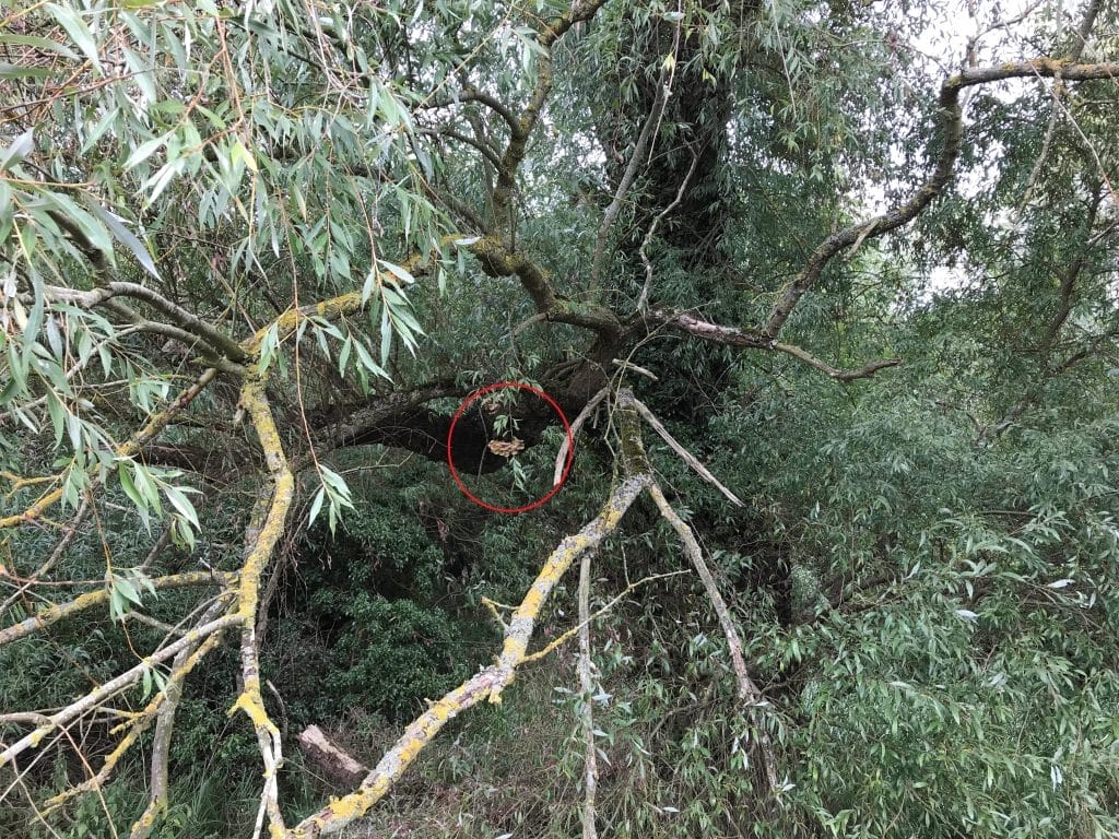 SGODDE Monocular Telescope