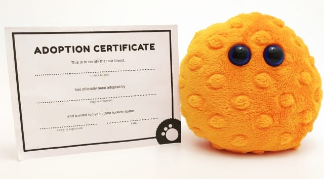 Image shows a card adoption certificate on the left. On the right is an orange worry pet in an upright position.