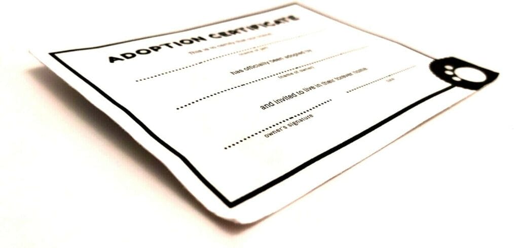 Image shows the Eardley Designs Worry Pets adoption certificate.