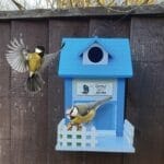 Oliphant Home Tweet Home Birdhouse