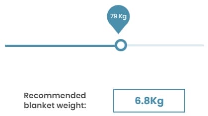 Image shows the Kalm Koala weight slider tool.