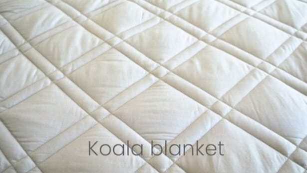 Image shows the Kalm Koala sections.