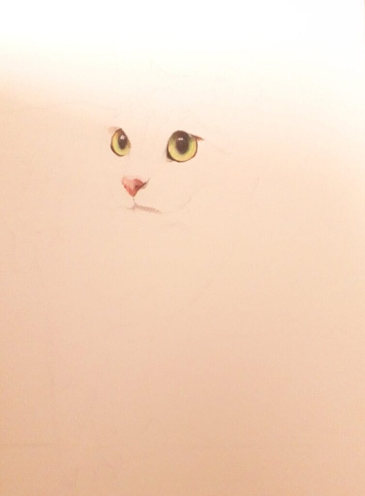 Image shows Tammy's eyes and nose.