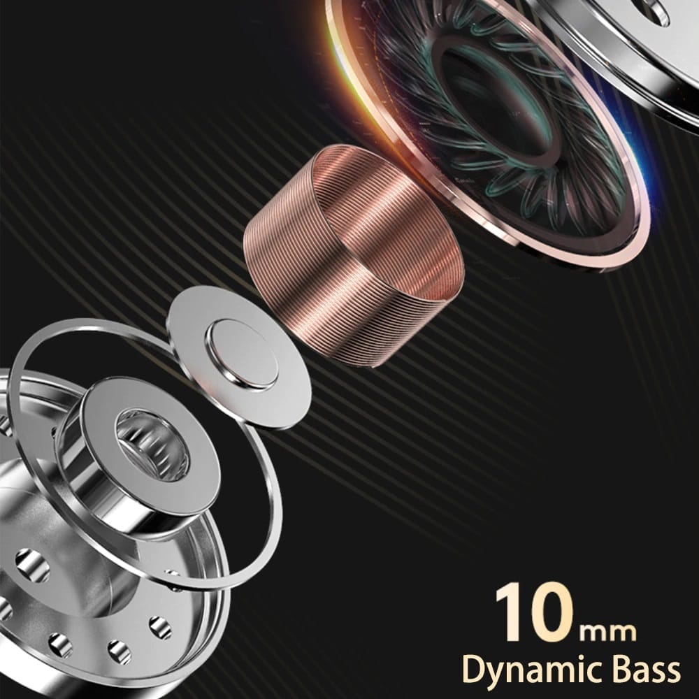 Image shows the supposing bass and dynamic driver set up.
