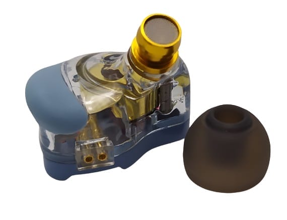 Image shows an ear tip that has been removed.