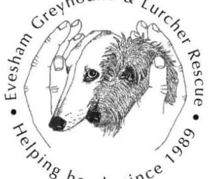 Evesham Greyhound Lurcher Rescue