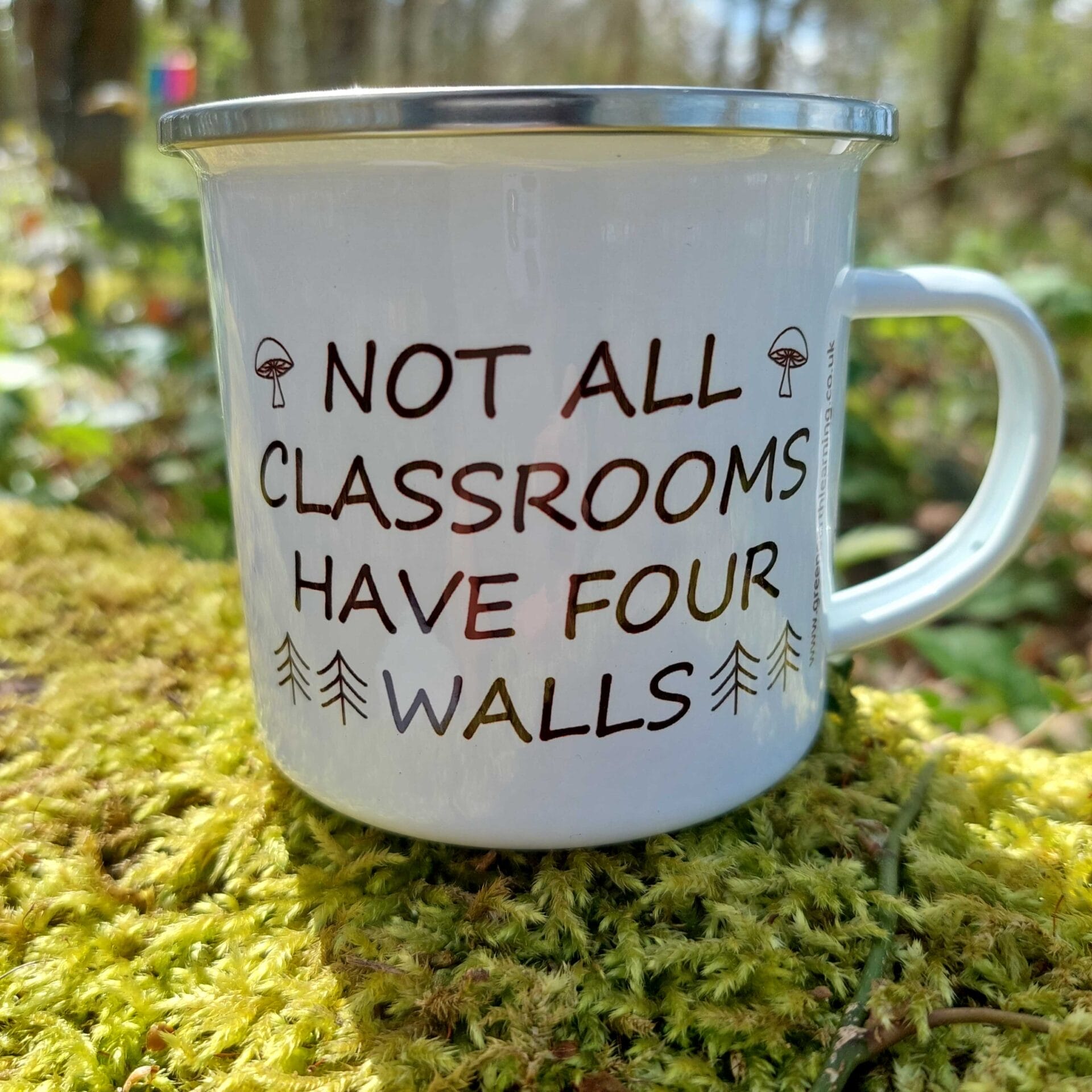 Not all Classrooms have four walls