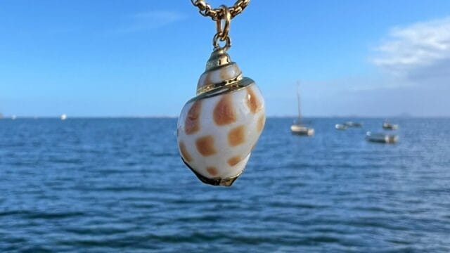 Gold-tippedseashell-over-sea