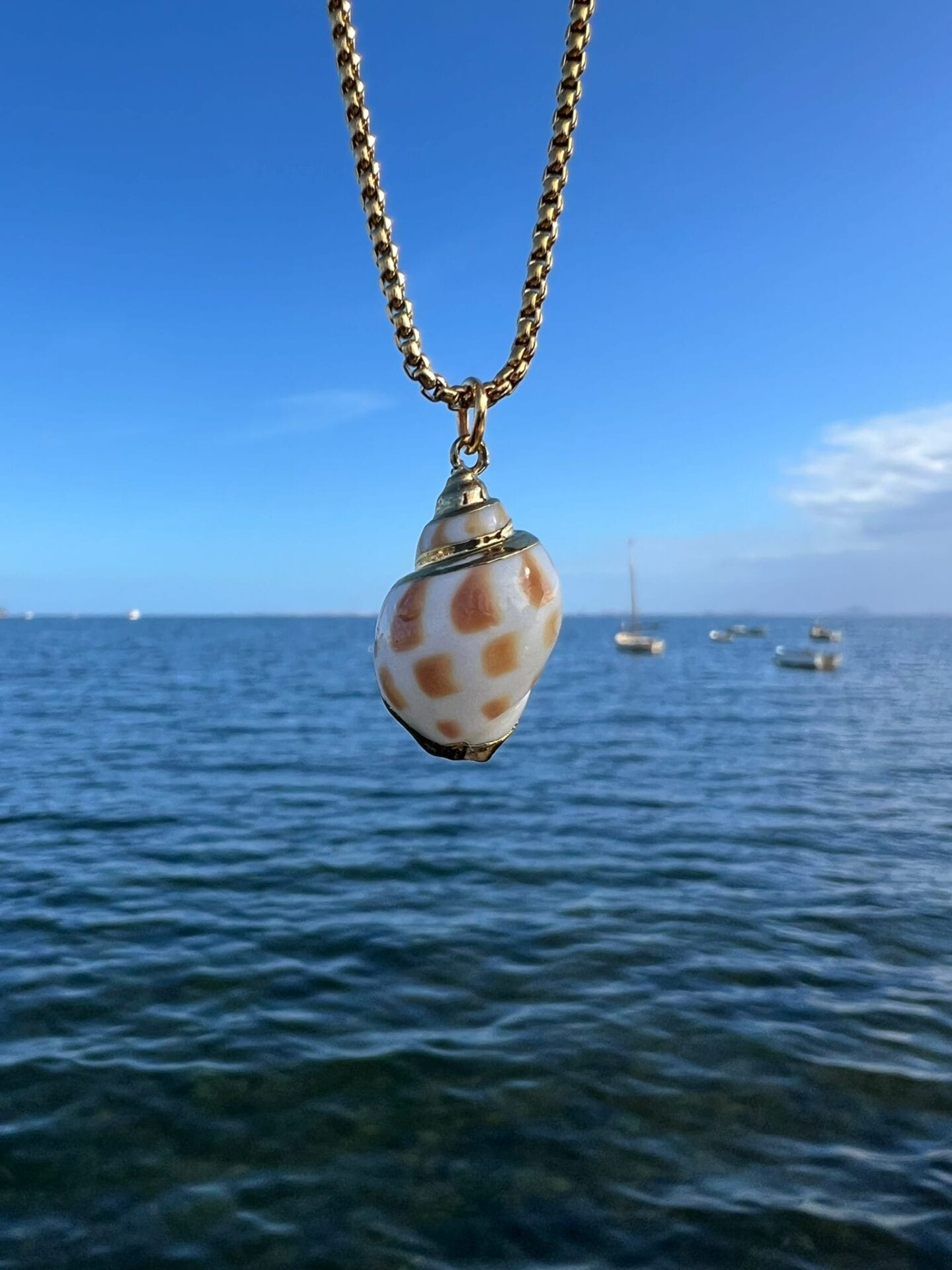 Gold-tippedseashell-over-sea