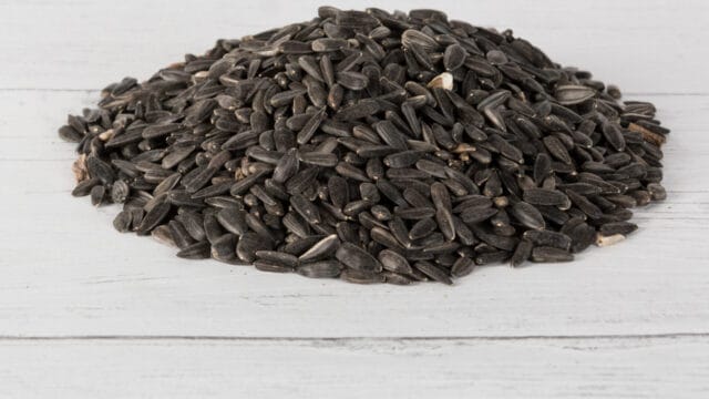 Laverock-Bird-food-Black-sunflowers-1