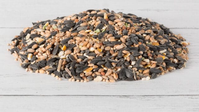 Laverock-Bird-food-Deluxe-wild-bird-food-1