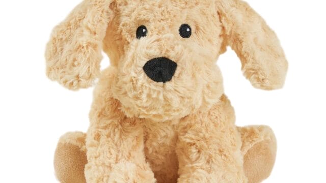 PhotoRoom_20231024_100045