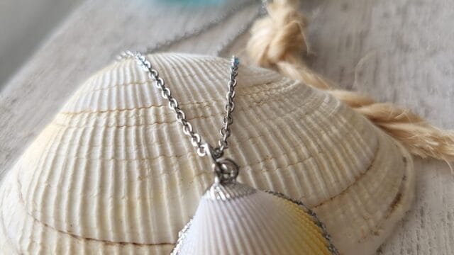 Silver-dipped-seashell