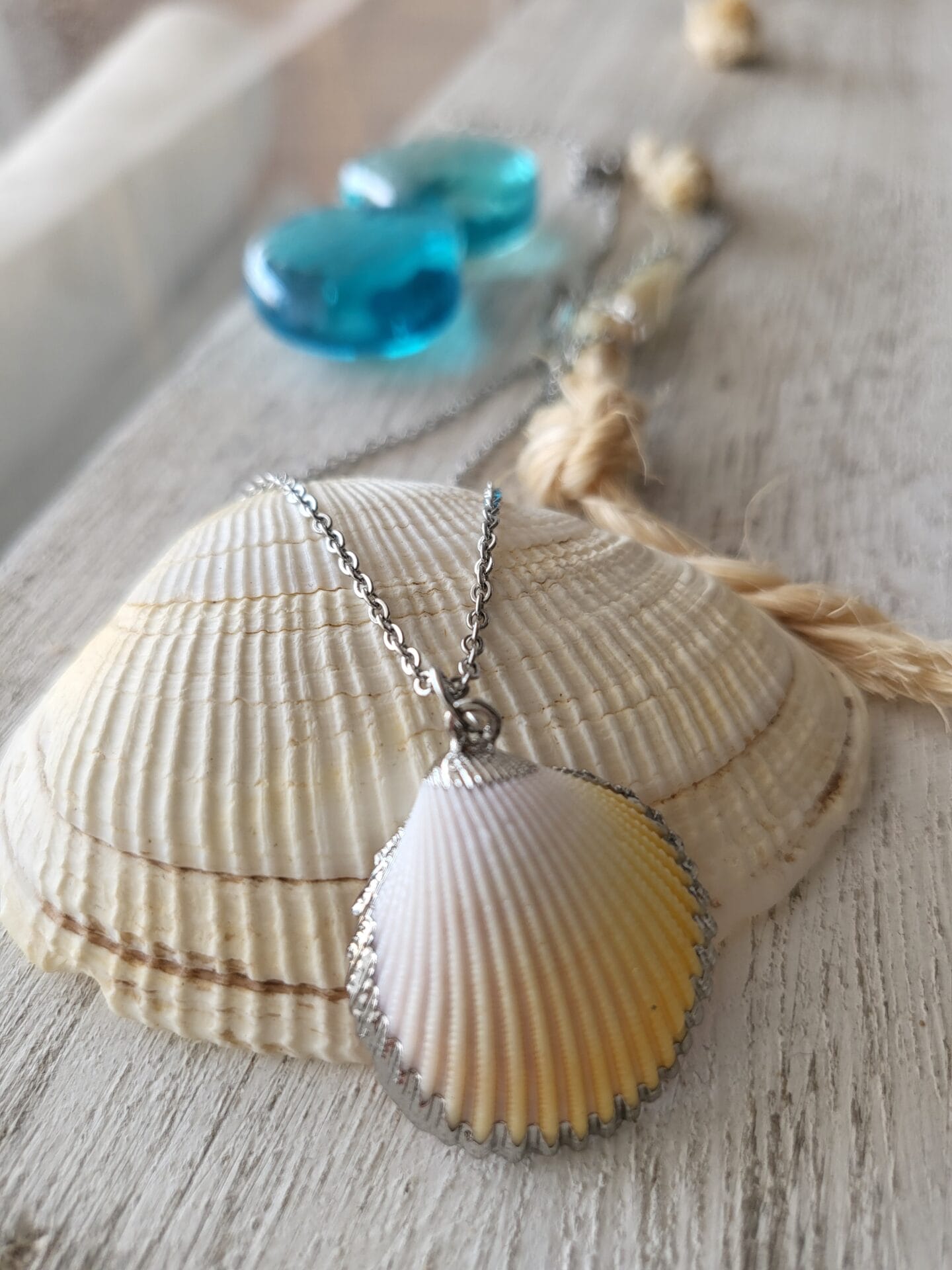 Silver-dipped-seashell