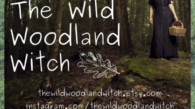 The Wild Woodland Witch