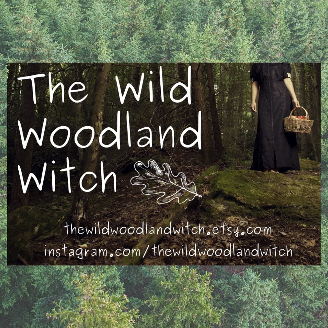 The Wild Woodland Witch