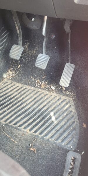 Dirty Interior