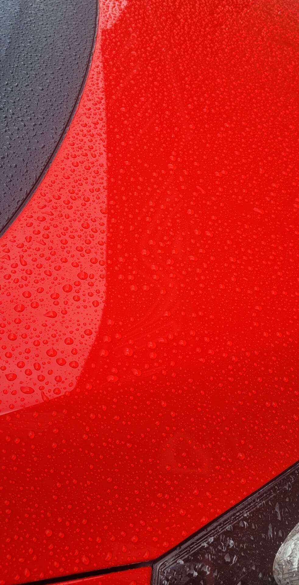 Image shows the water beading effect on my car.