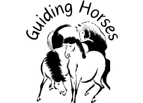 Guiding Horses