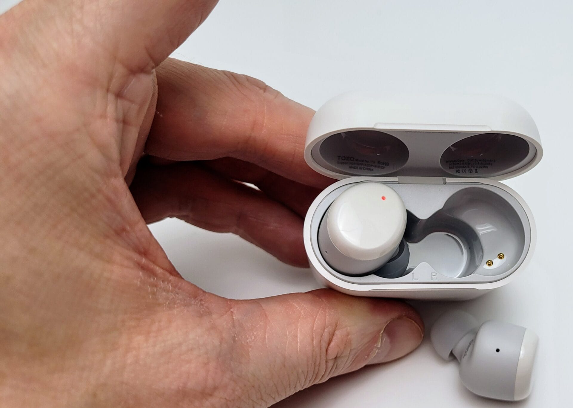 Image shows the earbuds in the charging case 