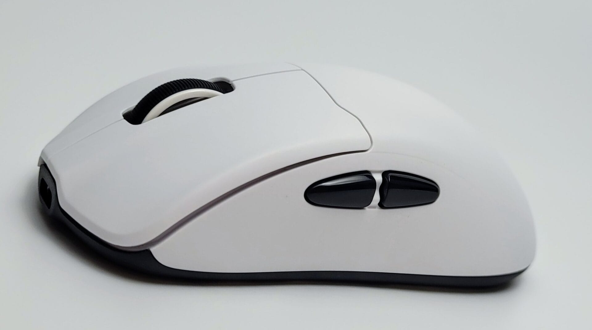 Image shows the mouse on a side view.