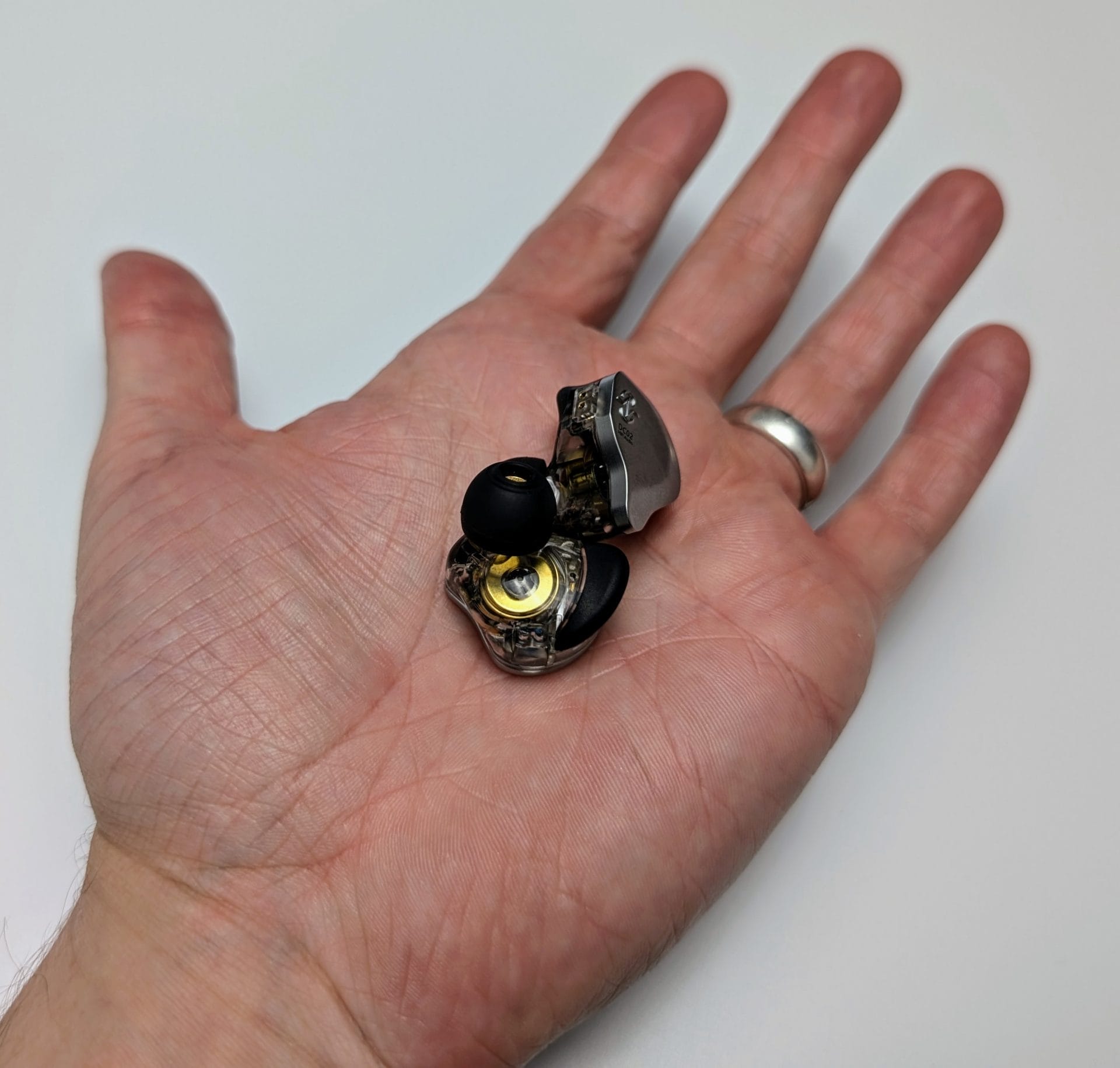 Image shows the IEMs in my left hand.