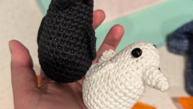 IMG_20251022_170022_727