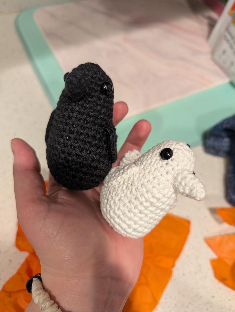 IMG_20251022_170022_727